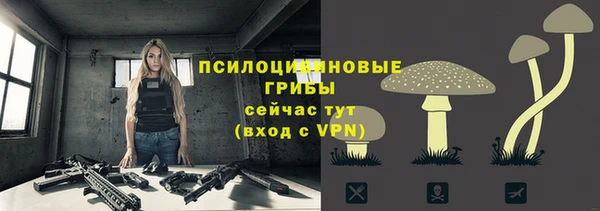 шишки Баксан