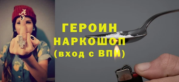 сатива Новозыбков